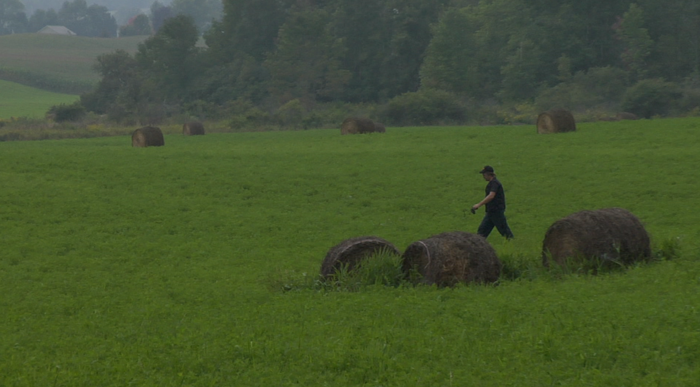 Blem outstanding in his field